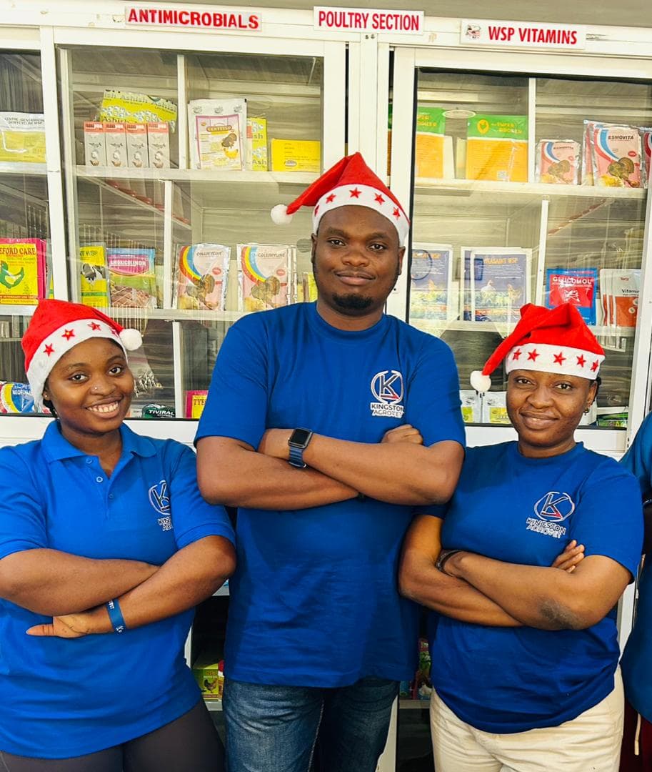 Kingston Vet Whole Team