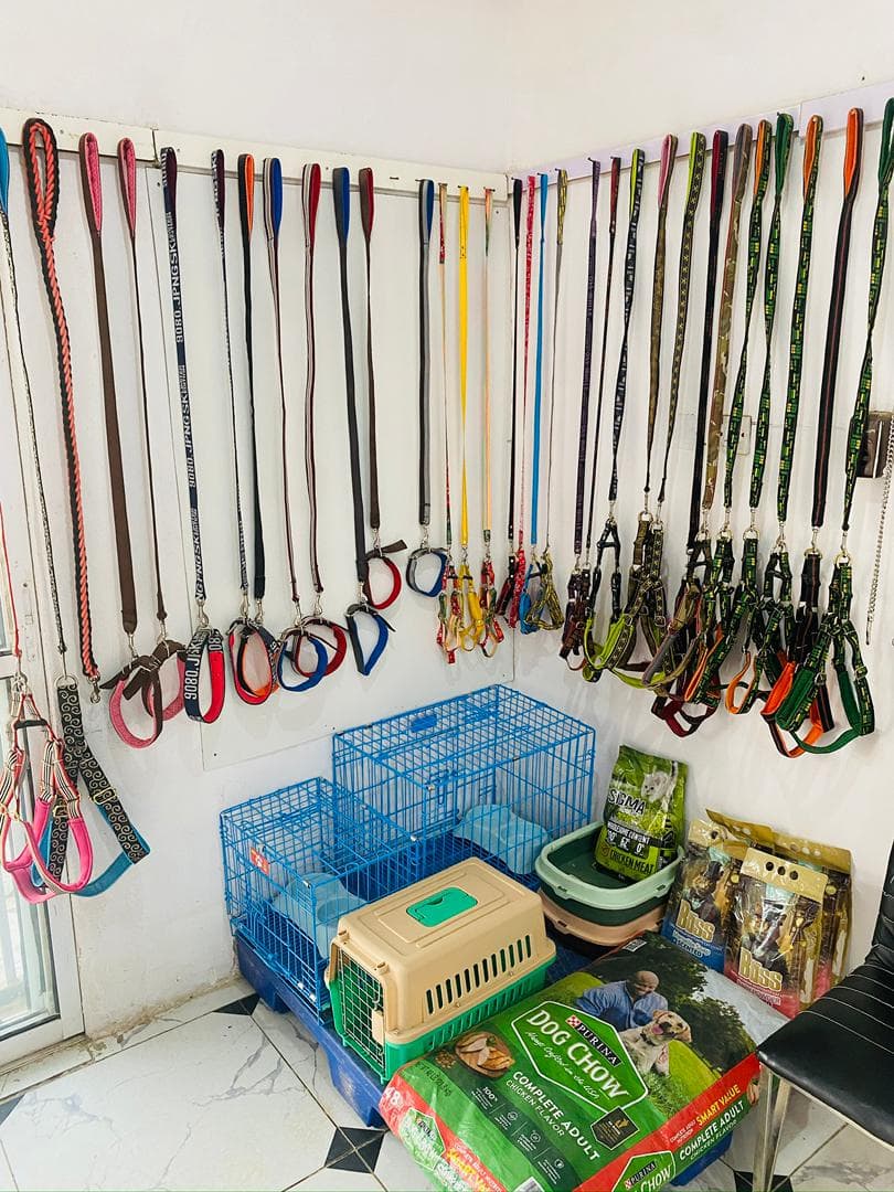 Education and Support